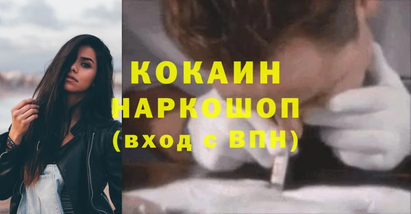 гидра Алексин