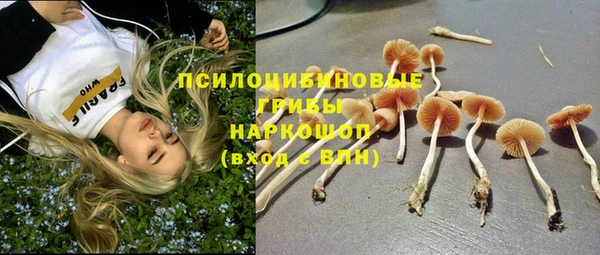 МДПВ Алексеевка