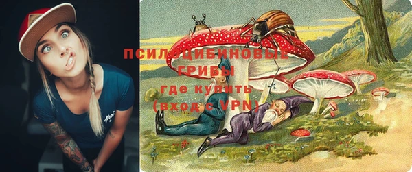 гидра Алексин