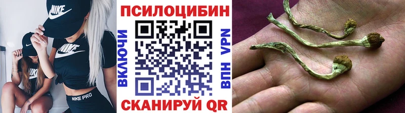 Псилоцибиновые грибы Cubensis  Кондопога 
